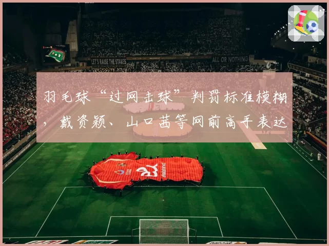 羽毛球“过网击球”判罚标准模糊,戴资颖、山口茜等网前高手表达担忧